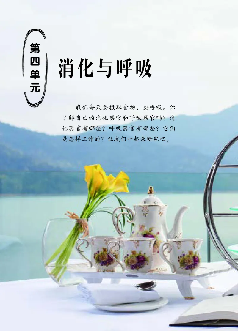 四年级上册科学青岛版五四制电子课本_全部版本&bull;小学科学电子课本_青岛版54制小学科学课本