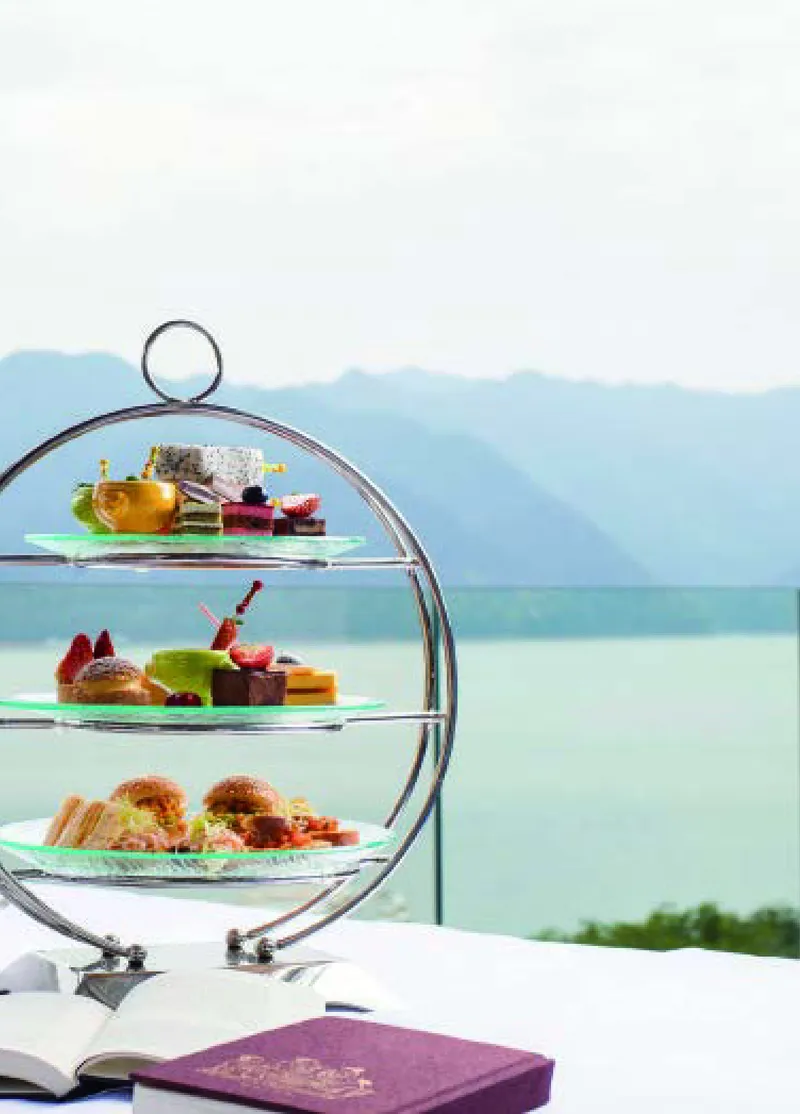 四年级上册科学青岛版五四制电子课本_全部版本&bull;小学科学电子课本_青岛版54制小学科学课本