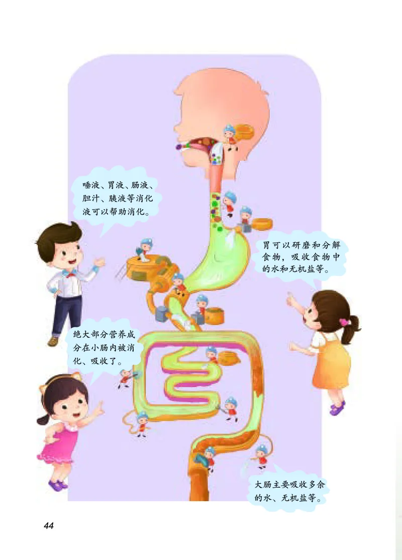 四年级上册科学青岛版五四制电子课本_全部版本&bull;小学科学电子课本_青岛版54制小学科学课本