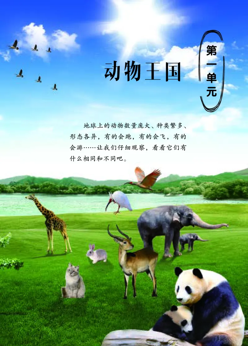 四年级上册科学青岛版五四制电子课本_全部版本&bull;小学科学电子课本_青岛版54制小学科学课本