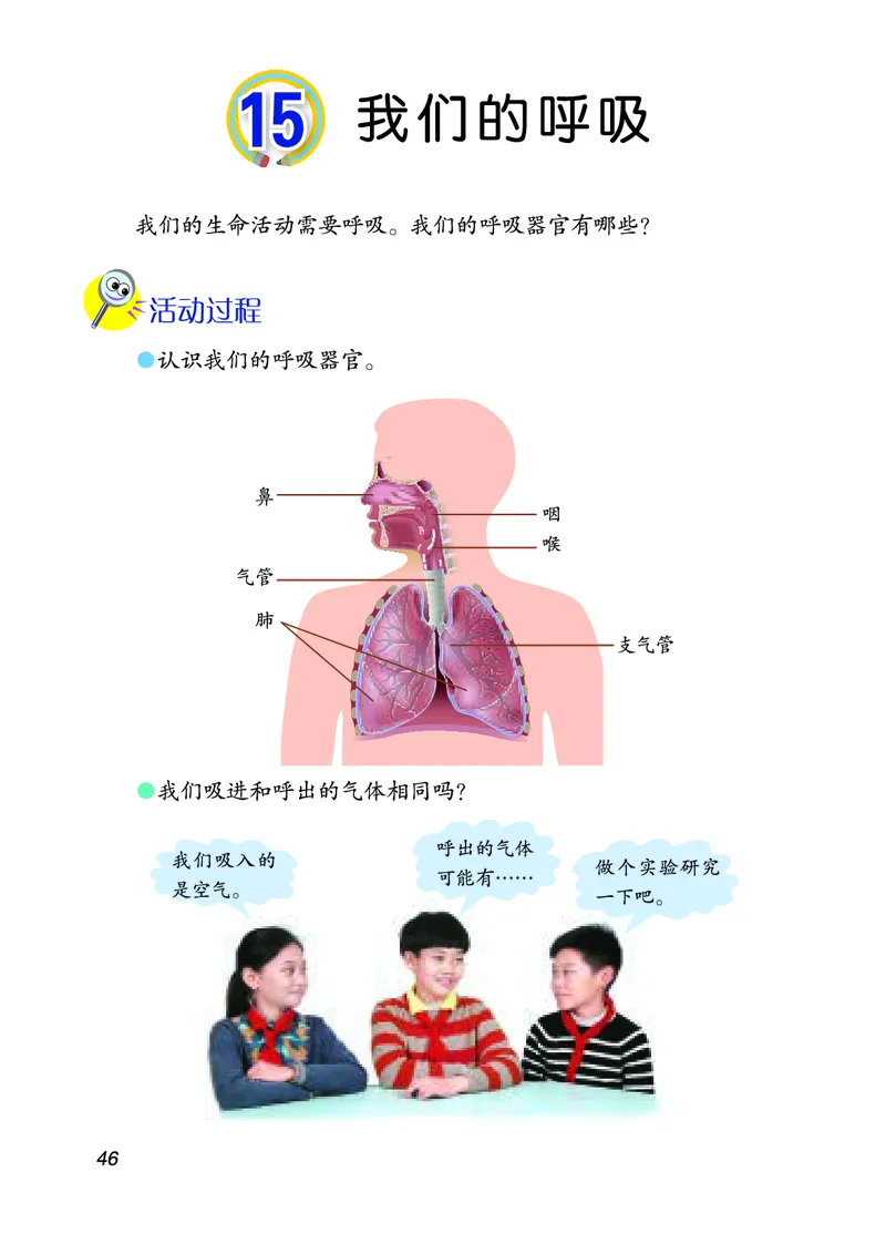 四年级上册科学青岛版五四制电子课本_全部版本&bull;小学科学电子课本_青岛版54制小学科学课本