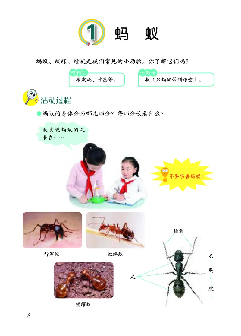 四年级上册科学青岛版五四制电子课本_全部版本&bull;小学科学电子课本_青岛版54制小学科学课本
