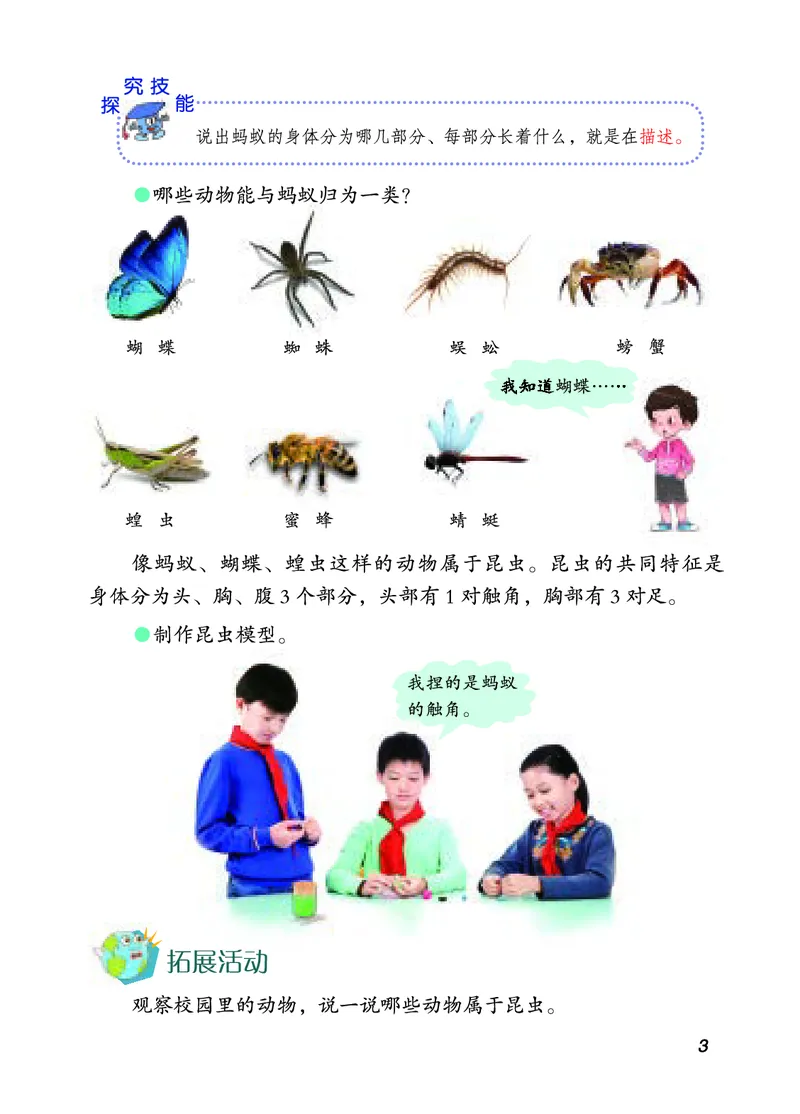 四年级上册科学青岛版五四制电子课本_全部版本&bull;小学科学电子课本_青岛版54制小学科学课本