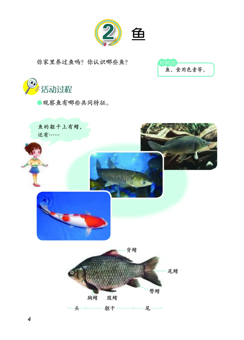 四年级上册科学青岛版五四制电子课本_全部版本&bull;小学科学电子课本_青岛版54制小学科学课本