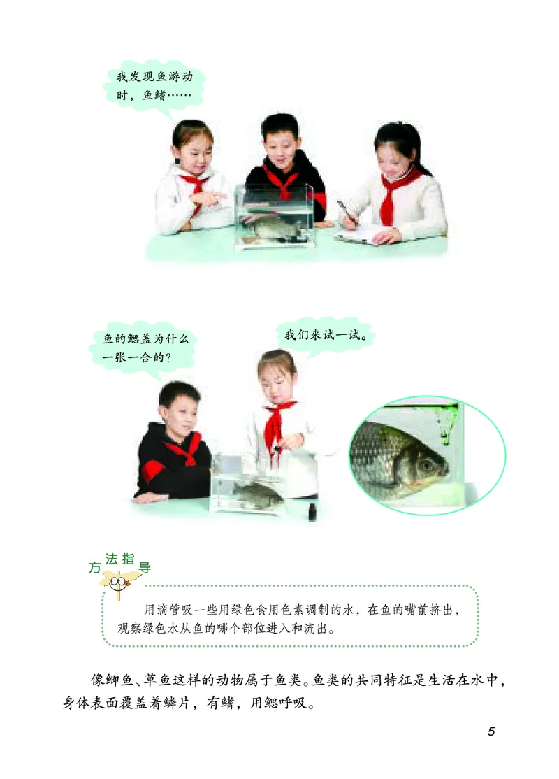 四年级上册科学青岛版五四制电子课本_全部版本&bull;小学科学电子课本_青岛版54制小学科学课本