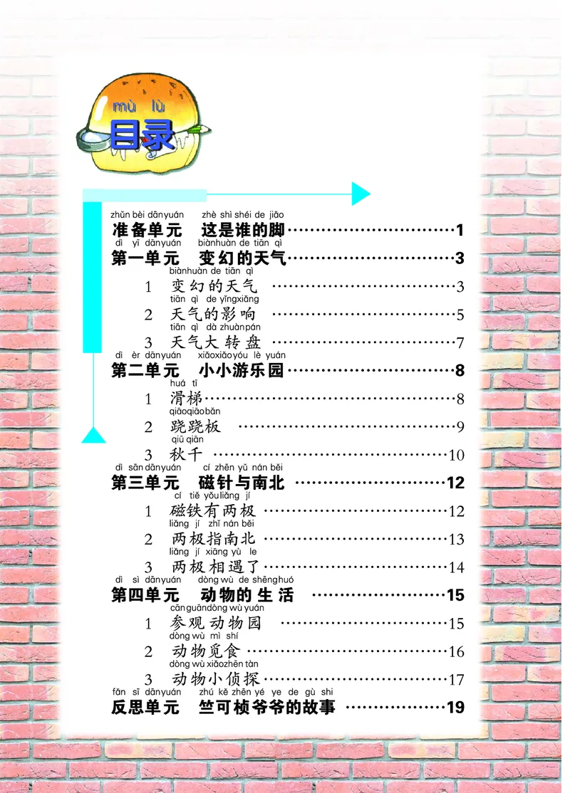 大象版2年级科学上册活动手册_全部版本&bull;小学科学电子课本_大象版小学科学电子课本