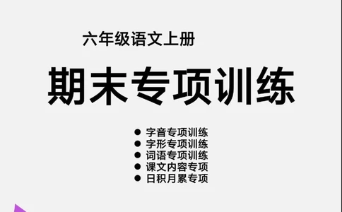 六（上）语文期末各类重点专项训练_6年级小红书最新热门资料(1)