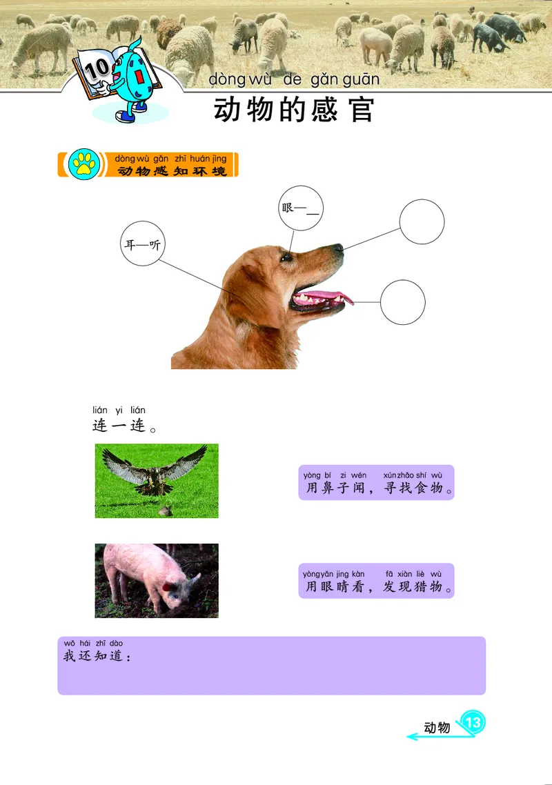 冀教版1年级科学上册活动手册_全部版本&bull;小学科学电子课本_冀教版小学科学电子课本