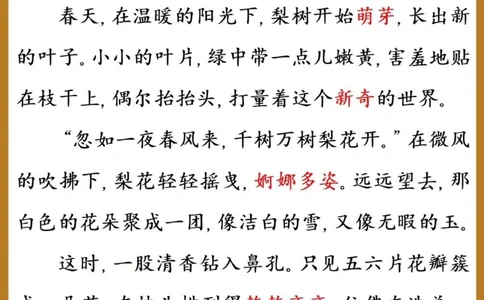 25年4月份晨读_晨读好句好段练笔