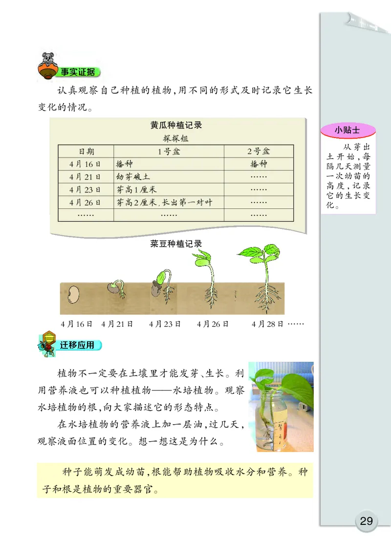 大象版3年级科学下册高清教材_全部版本&bull;小学科学电子课本_大象版小学科学电子课本