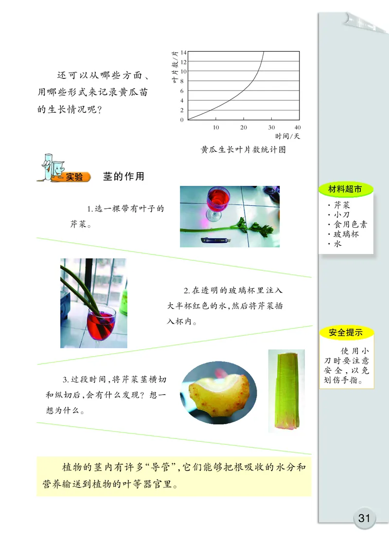 大象版3年级科学下册高清教材_全部版本&bull;小学科学电子课本_大象版小学科学电子课本