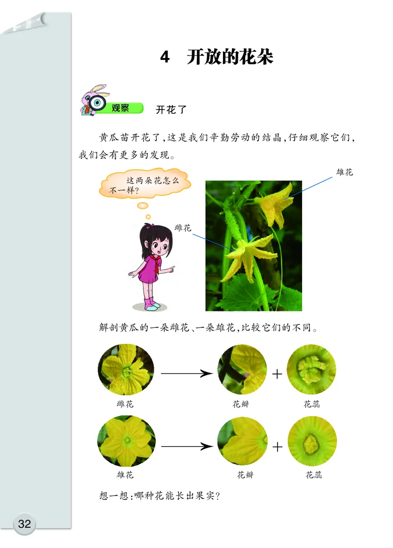 大象版3年级科学下册高清教材_全部版本&bull;小学科学电子课本_大象版小学科学电子课本