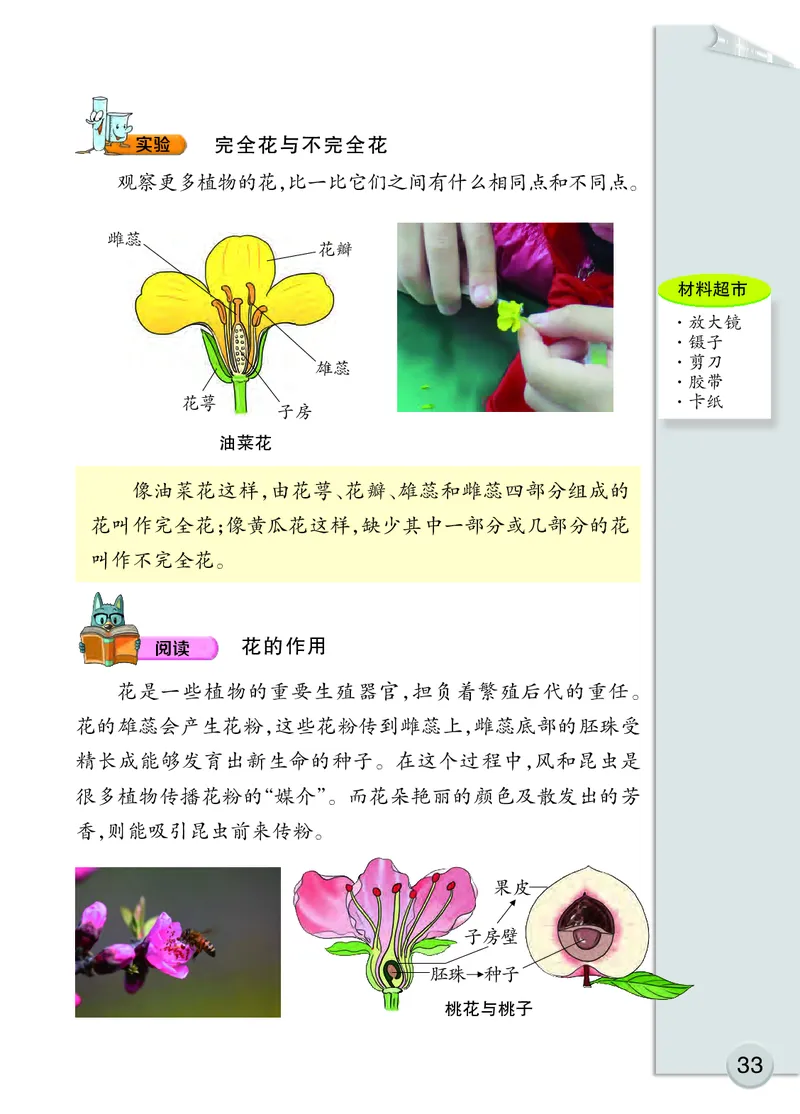 大象版3年级科学下册高清教材_全部版本&bull;小学科学电子课本_大象版小学科学电子课本