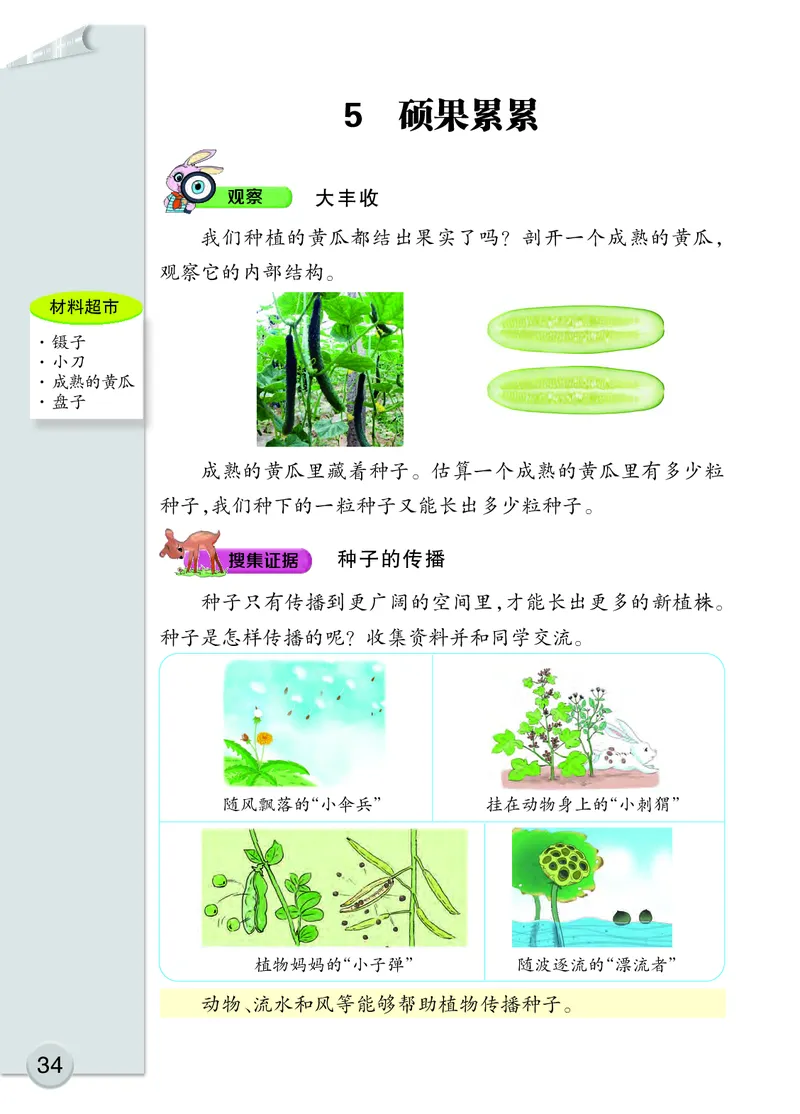 大象版3年级科学下册高清教材_全部版本&bull;小学科学电子课本_大象版小学科学电子课本