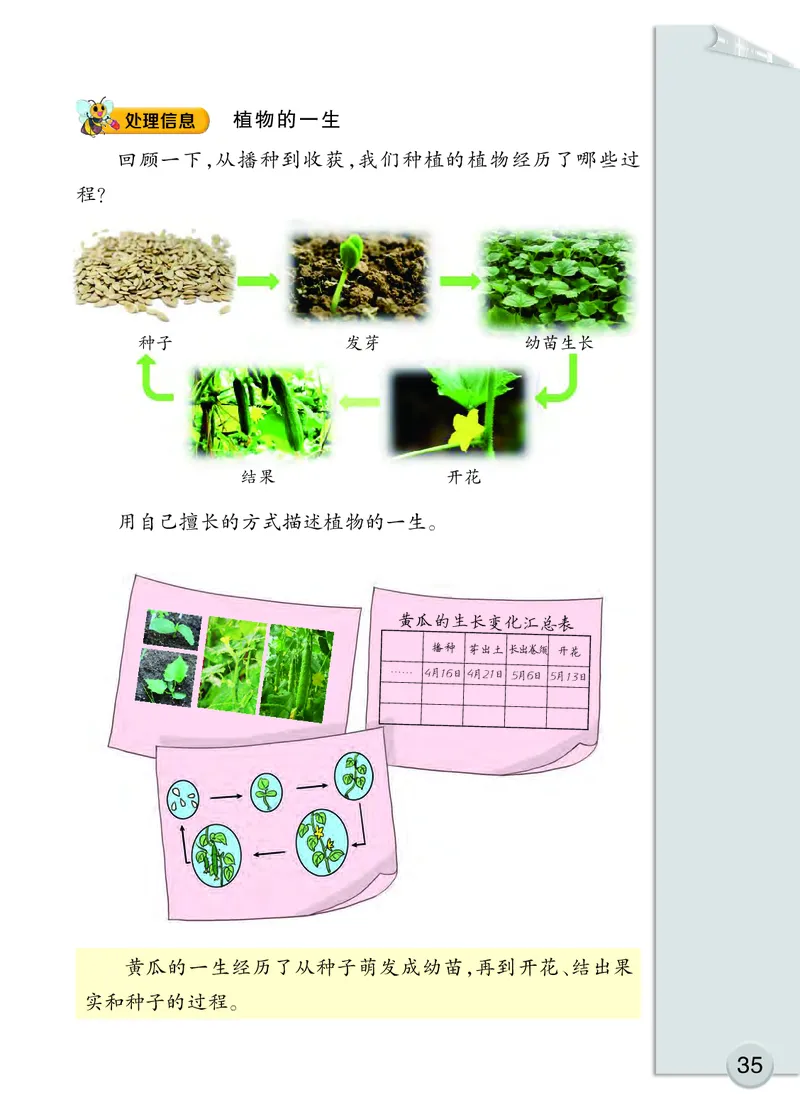 大象版3年级科学下册高清教材_全部版本&bull;小学科学电子课本_大象版小学科学电子课本