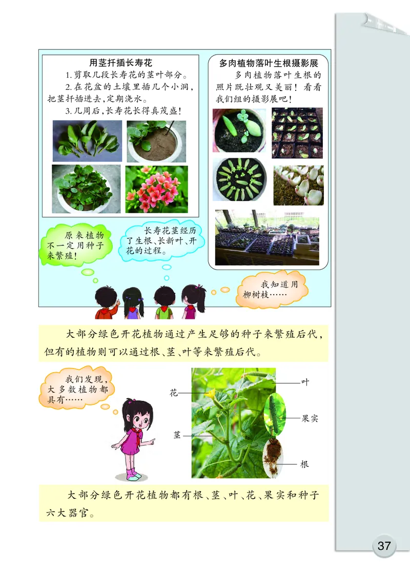 大象版3年级科学下册高清教材_全部版本&bull;小学科学电子课本_大象版小学科学电子课本