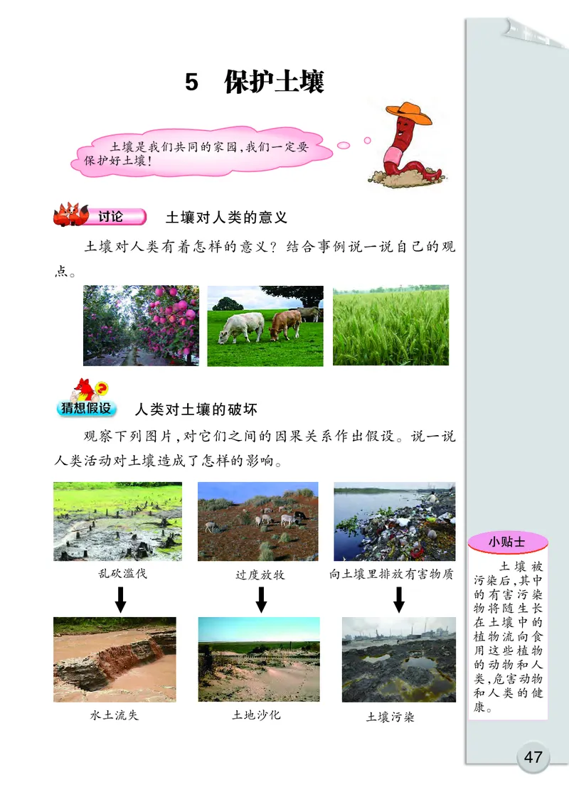 大象版3年级科学下册高清教材_全部版本&bull;小学科学电子课本_大象版小学科学电子课本