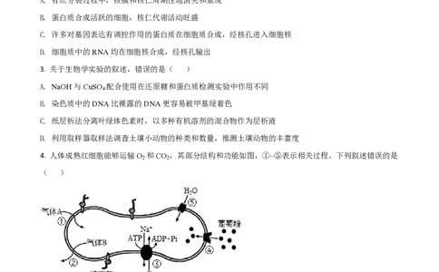 2021年高考生物试卷（河北）（空白卷）_生物历年高考真题_新&middot;PDF版2008-2025&middot;高考生物真题_生物（按省份分类）2008-2025_2008-2025&middot;（河北）生物高考真题
