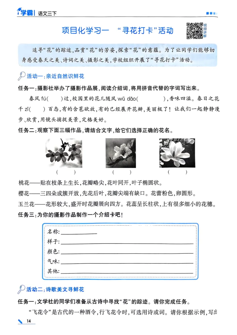 25春5星学霸3下语文_三年级上下册资料_53黄冈多个品牌系列资料_语文