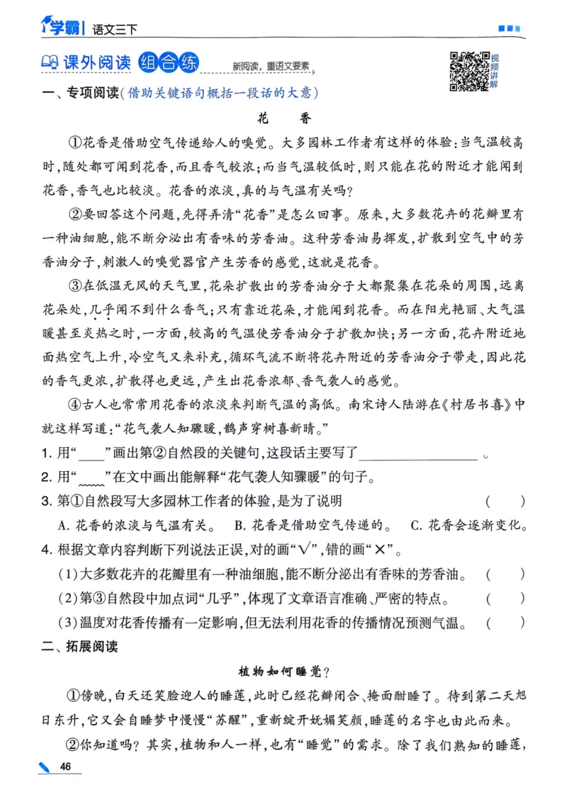 25春5星学霸3下语文_三年级上下册资料_53黄冈多个品牌系列资料_语文