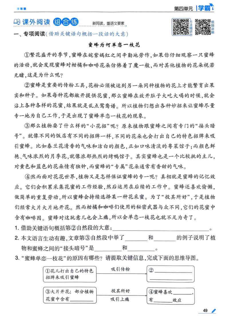 25春5星学霸3下语文_三年级上下册资料_53黄冈多个品牌系列资料_语文