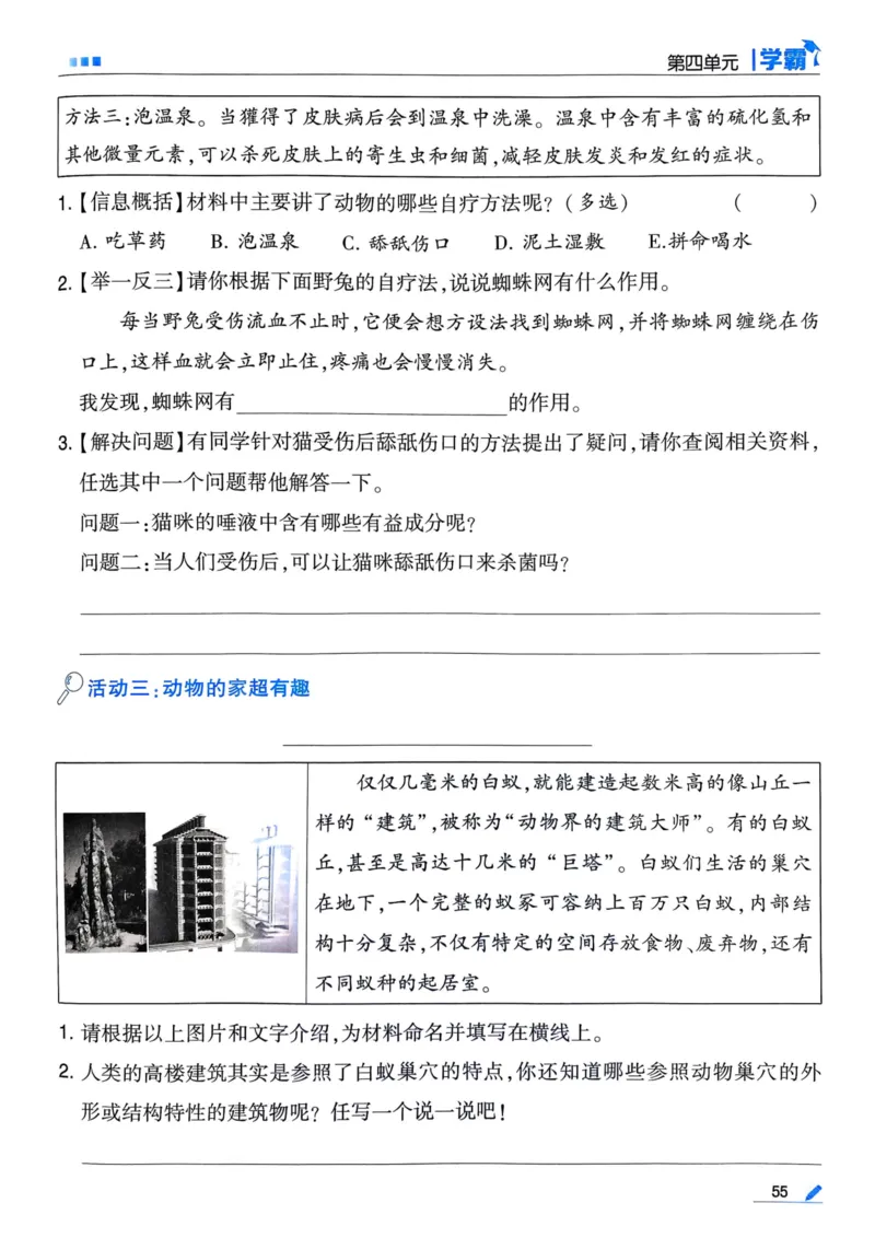 25春5星学霸3下语文_三年级上下册资料_53黄冈多个品牌系列资料_语文