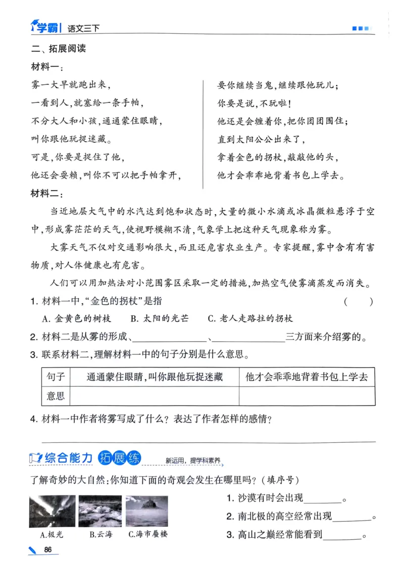 25春5星学霸3下语文_三年级上下册资料_53黄冈多个品牌系列资料_语文