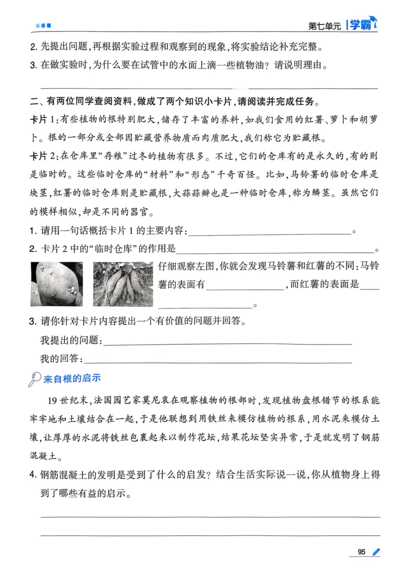 25春5星学霸3下语文_三年级上下册资料_53黄冈多个品牌系列资料_语文