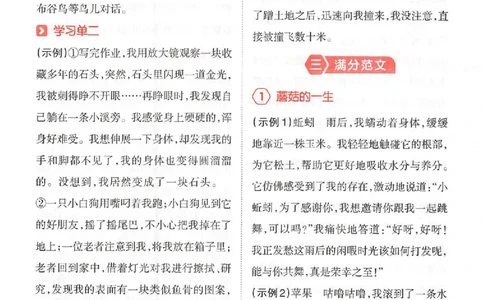 六年级语文上册25秋《一本小学生同步作文》答案_一本同步作文_六年级语文上册25秋《一本小学生同步作文》