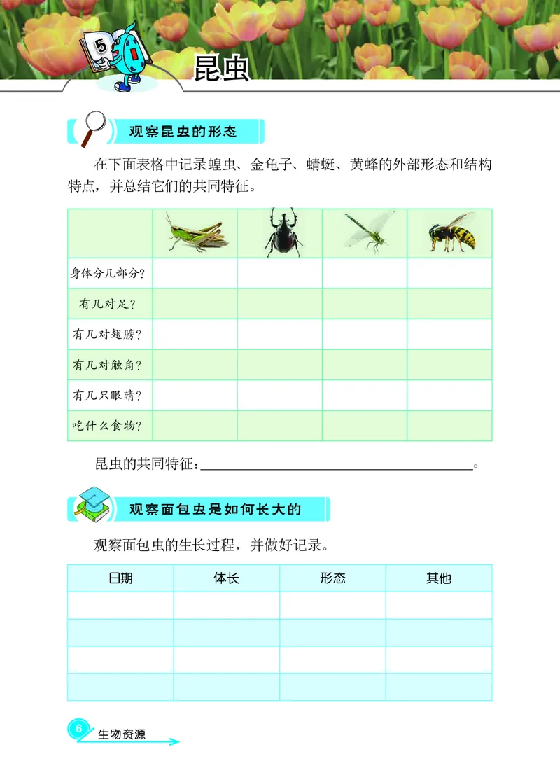 冀教版3年级科学下册活动手册_全部版本&bull;小学科学电子课本_冀教版小学科学电子课本