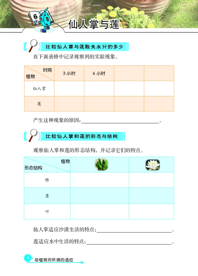 冀教版3年级科学下册活动手册_全部版本&bull;小学科学电子课本_冀教版小学科学电子课本
