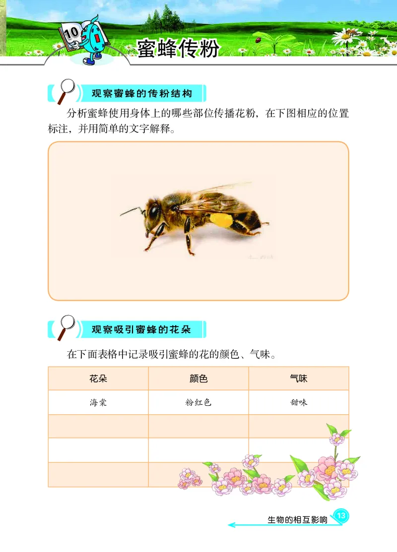 冀教版3年级科学下册活动手册_全部版本&bull;小学科学电子课本_冀教版小学科学电子课本