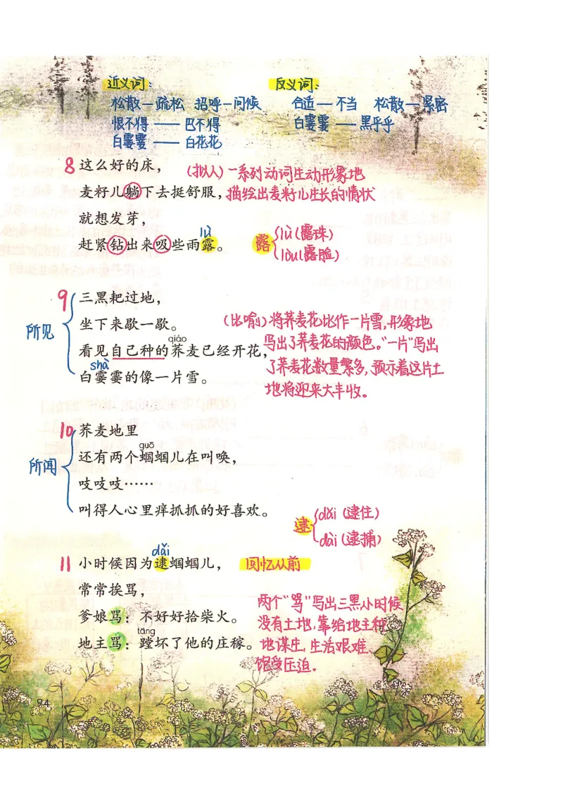 五升六语文学习笔记_小学全网线上同款资料_k92_语文