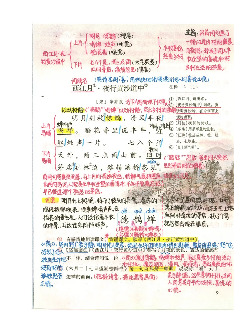 五升六语文学习笔记_小学全网线上同款资料_k92_语文