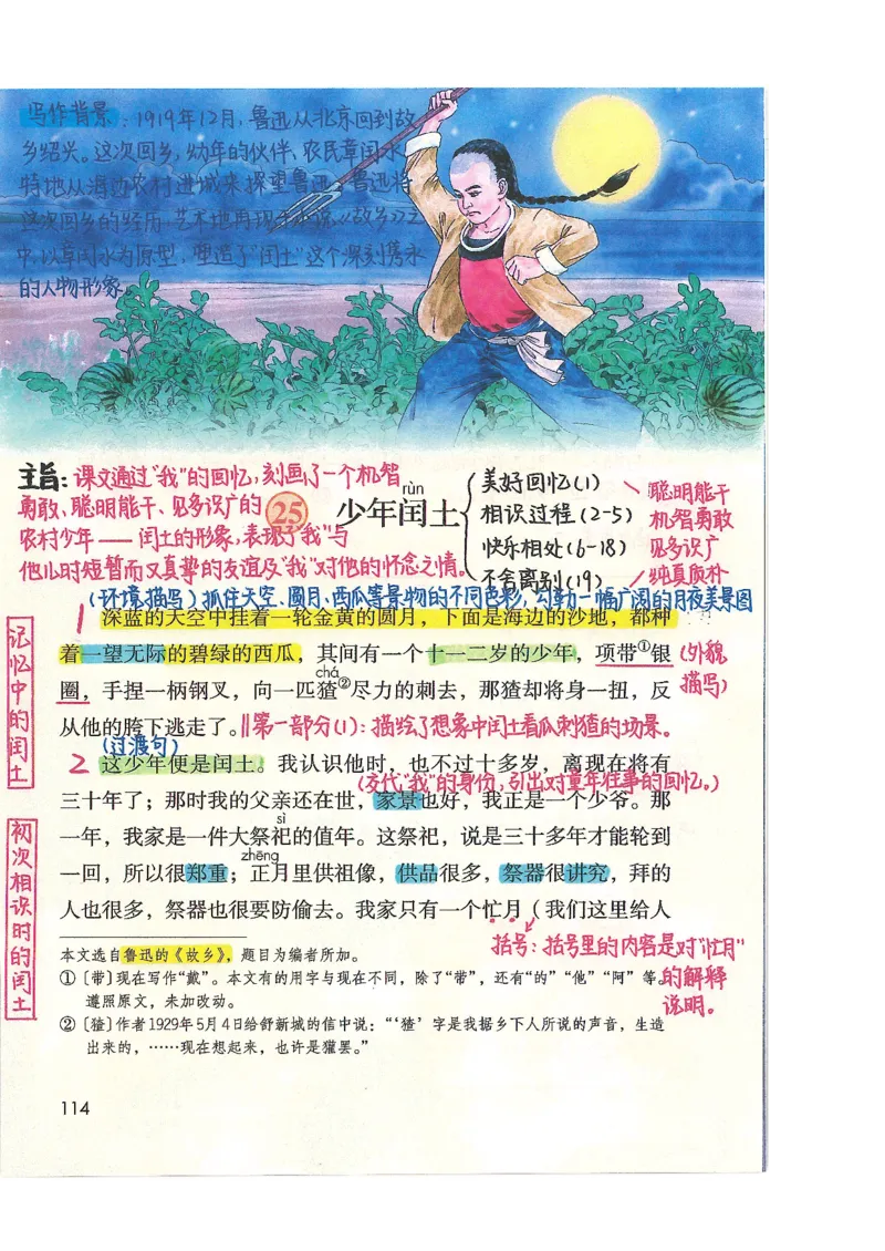 五升六语文学习笔记_小学全网线上同款资料_k92_语文