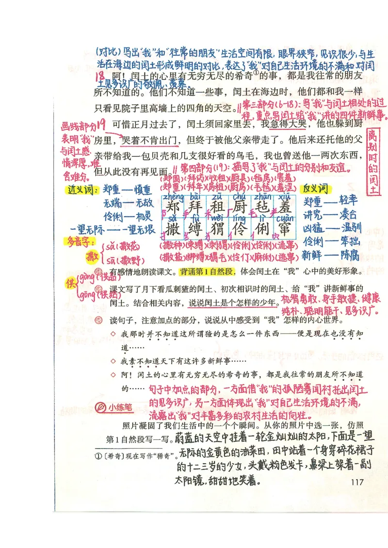 五升六语文学习笔记_小学全网线上同款资料_k92_语文