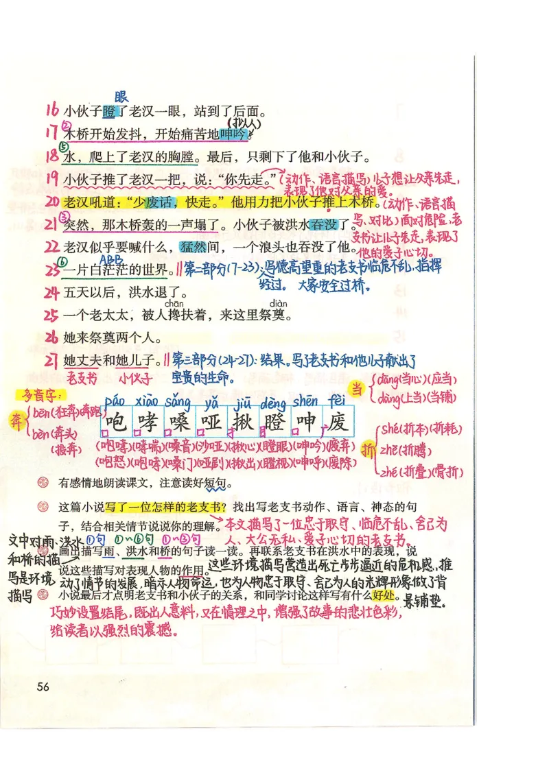 五升六语文学习笔记_小学全网线上同款资料_k92_语文