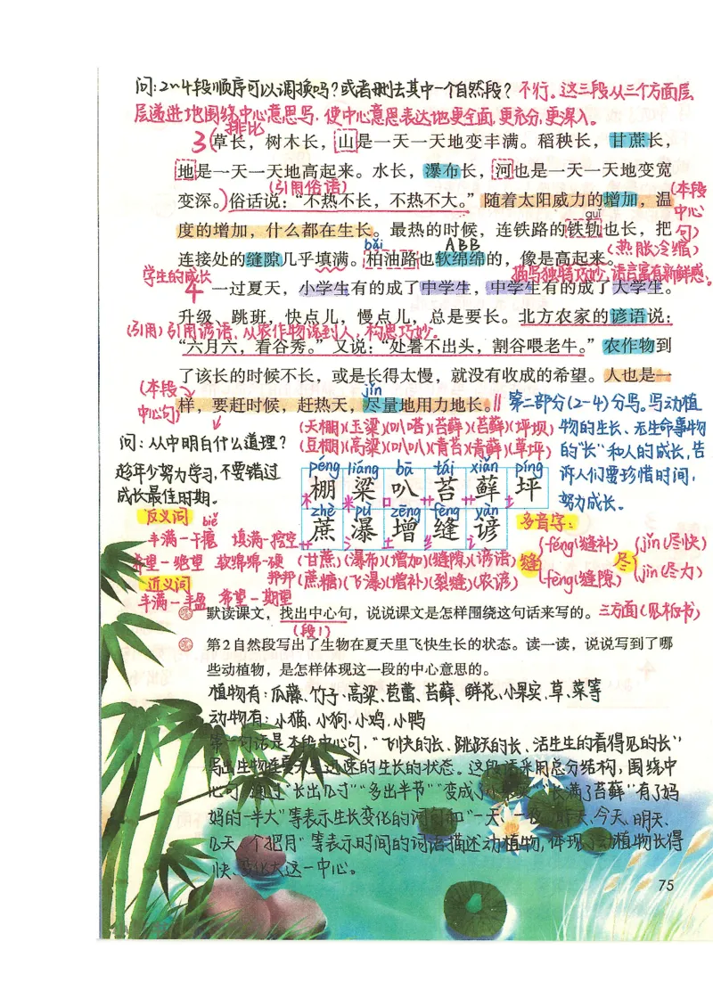 五升六语文学习笔记_小学全网线上同款资料_k92_语文