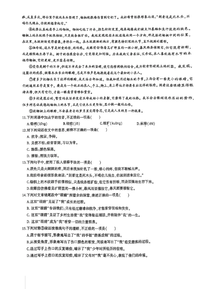 2024体育单招终极冲刺卷语文1-5套_006体育资料_语文2014-2025年真题+55套模拟卷_2024（新考纲）全国体育单招全真模拟卷（语文）（41套）