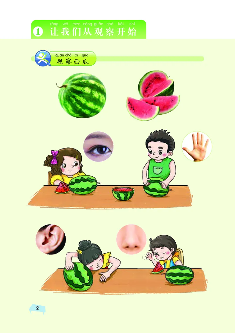 湘科版1年级科学上册高清教材_全部版本&bull;小学科学电子课本_湘科版小学科学电子课本