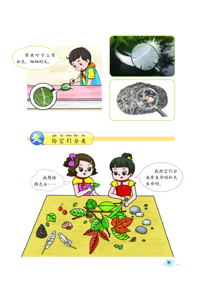 湘科版1年级科学上册高清教材_全部版本&bull;小学科学电子课本_湘科版小学科学电子课本