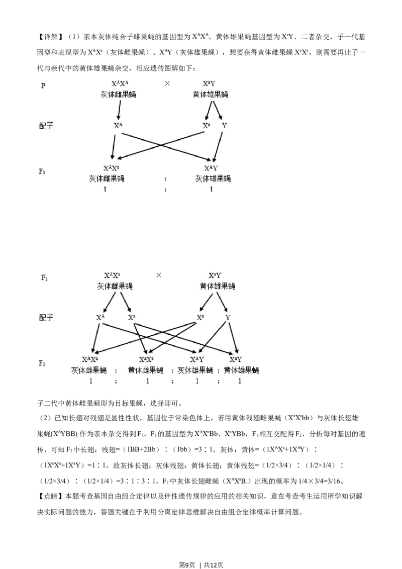 2021年高考生物试卷（全国乙卷）（解析卷）_生物历年高考真题_新&middot;Word版2008-2025&middot;高考生物真题_生物（按年份分类）2008-2025_2021&middot;高考生物真题