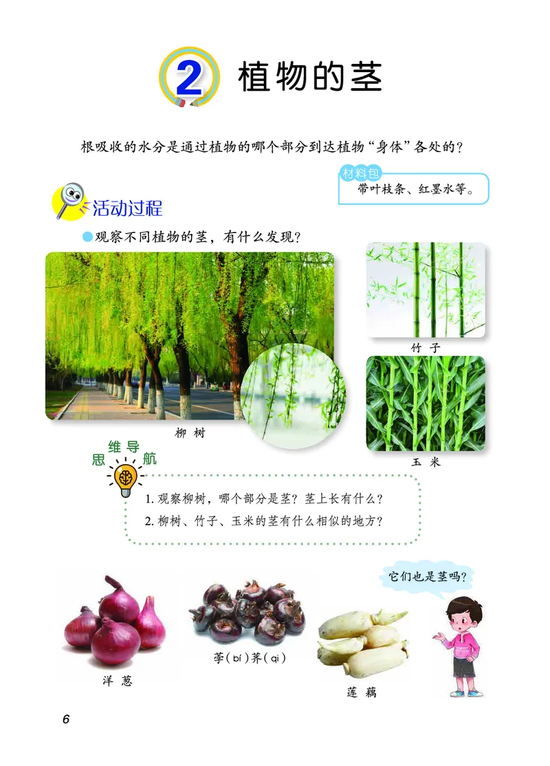 三年级上册科学青岛版五四制电子课本_全部版本&bull;小学科学电子课本_青岛版54制小学科学课本