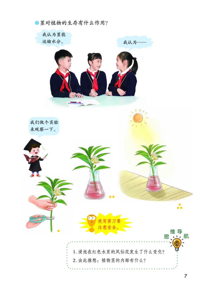 三年级上册科学青岛版五四制电子课本_全部版本&bull;小学科学电子课本_青岛版54制小学科学课本