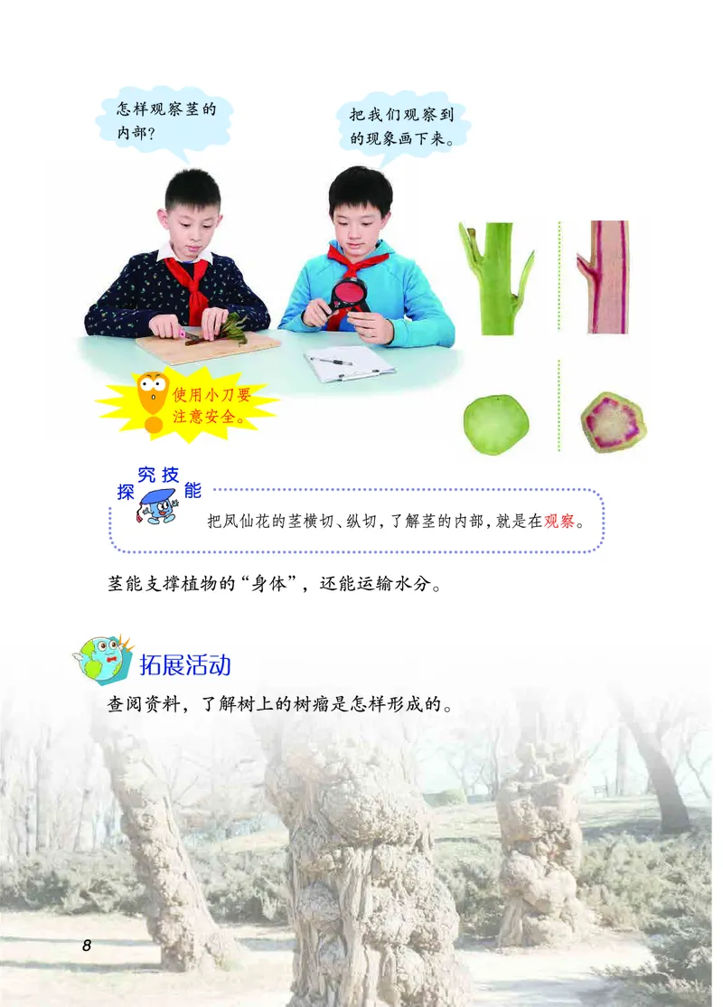 三年级上册科学青岛版五四制电子课本_全部版本&bull;小学科学电子课本_青岛版54制小学科学课本