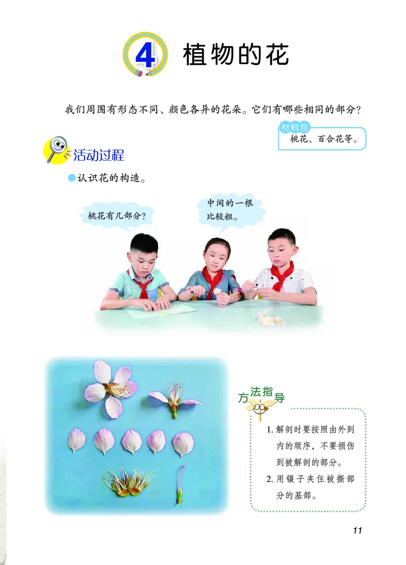 三年级上册科学青岛版五四制电子课本_全部版本&bull;小学科学电子课本_青岛版54制小学科学课本