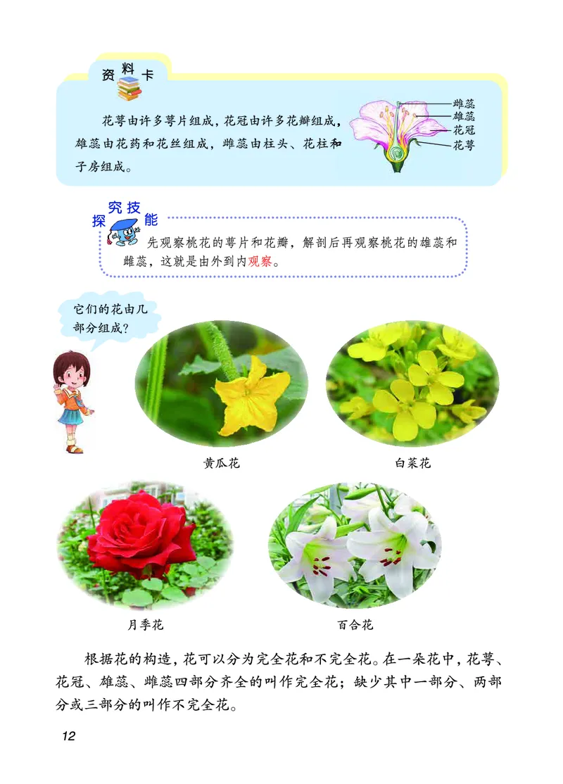 三年级上册科学青岛版五四制电子课本_全部版本&bull;小学科学电子课本_青岛版54制小学科学课本