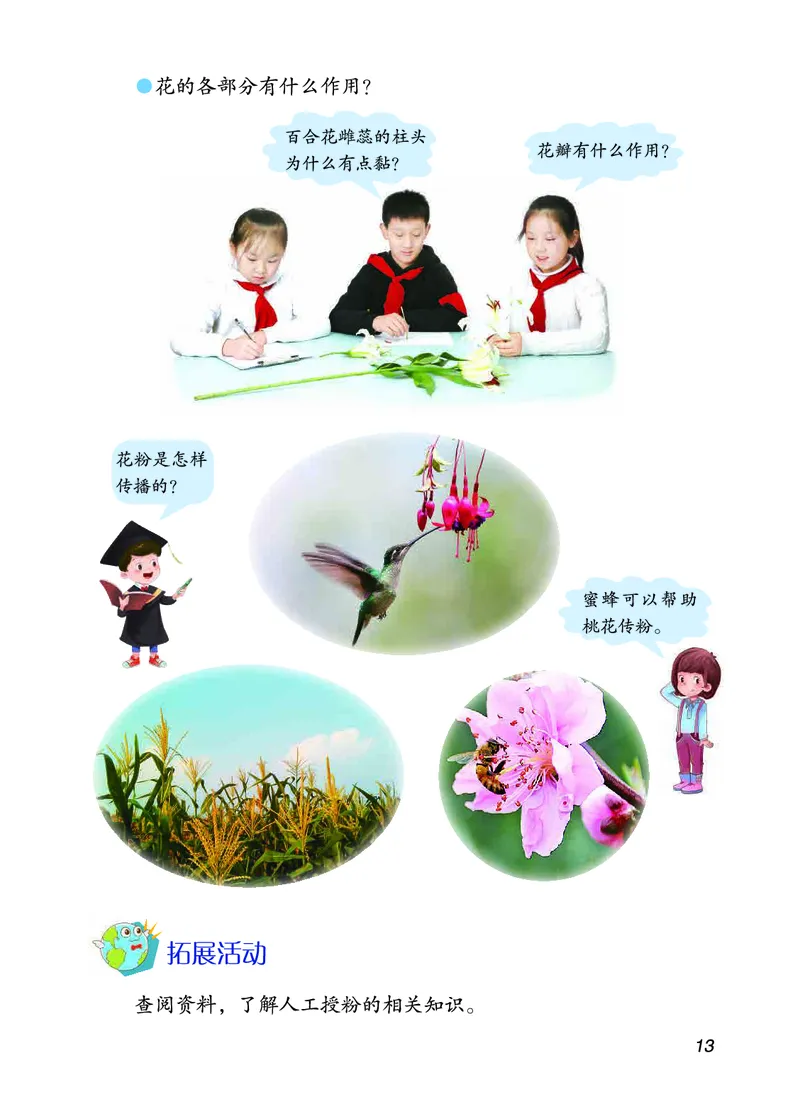 三年级上册科学青岛版五四制电子课本_全部版本&bull;小学科学电子课本_青岛版54制小学科学课本