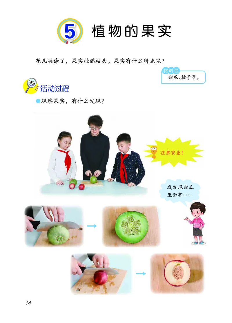 三年级上册科学青岛版五四制电子课本_全部版本&bull;小学科学电子课本_青岛版54制小学科学课本