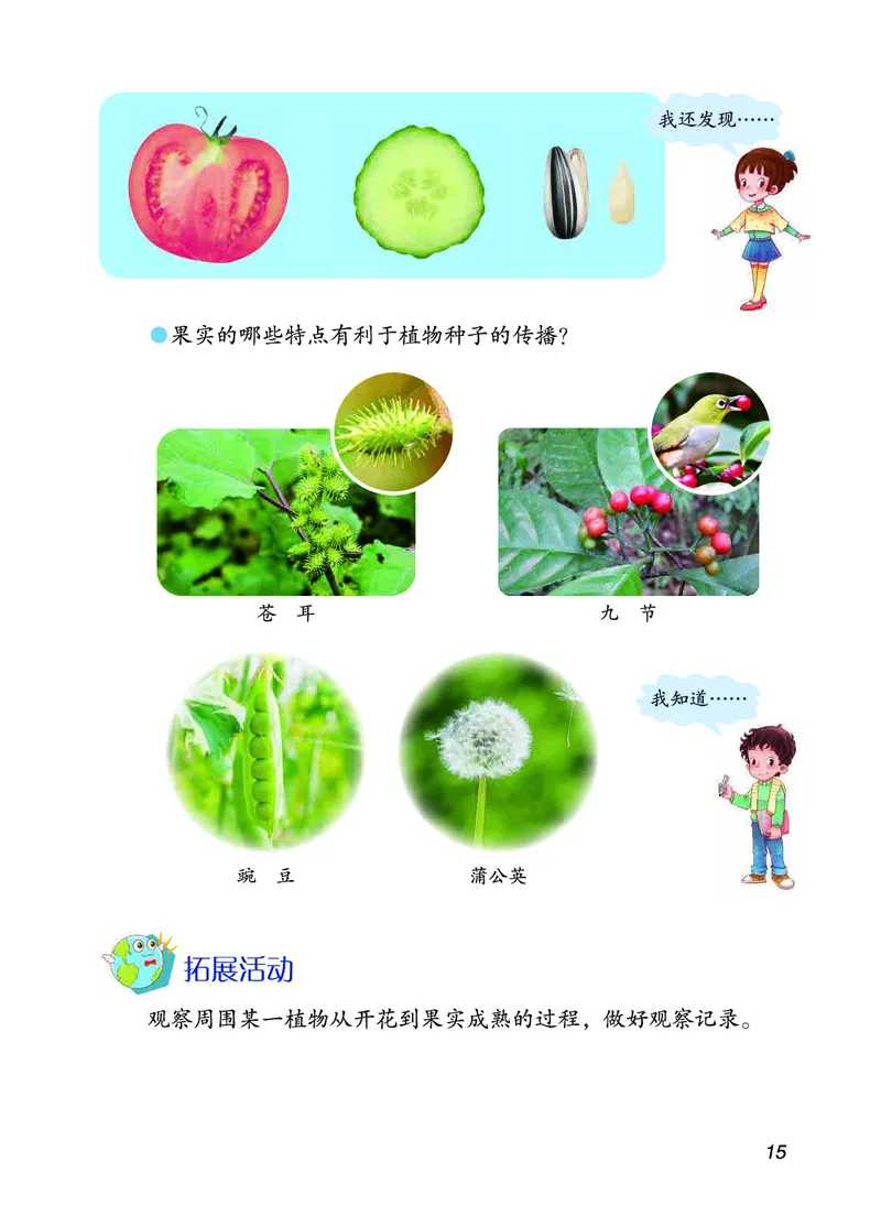 三年级上册科学青岛版五四制电子课本_全部版本&bull;小学科学电子课本_青岛版54制小学科学课本